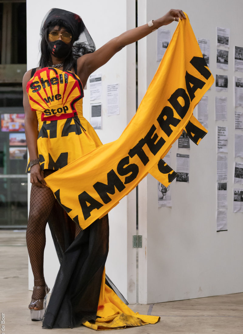 Aryelle Timeline PPM vs Shell